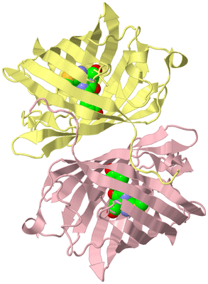 Image Biological Unit 6