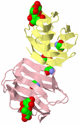 Image Biological Unit 10