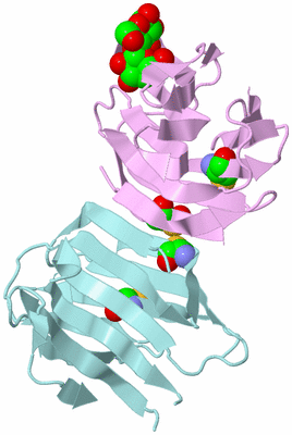 Image Biological Unit 11