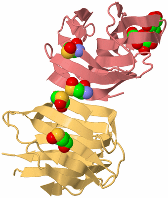 Image Biological Unit 12