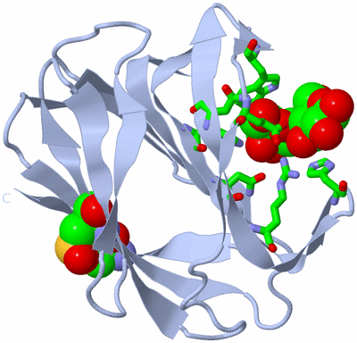 Image Biol. Unit 1 - sites