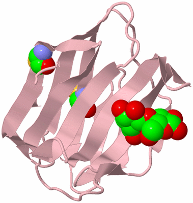 Image Biological Unit 3