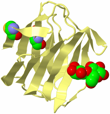 Image Biological Unit 4