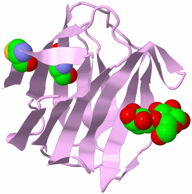 Image Biological Unit 5