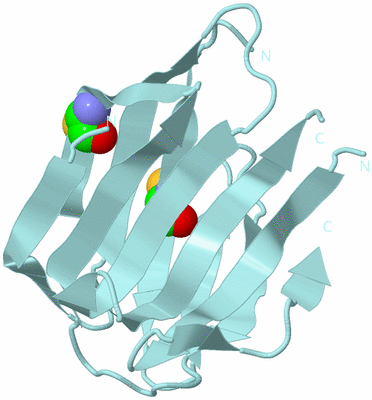 Image Biological Unit 6