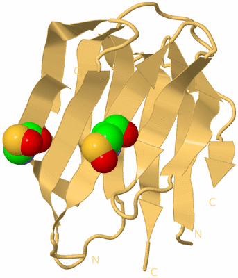 Image Biological Unit 7