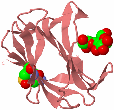 Image Biological Unit 8