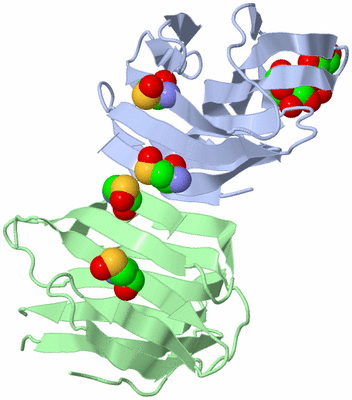 Image Biological Unit 9