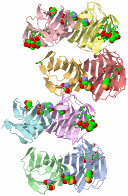 Image Asym. Unit - sites