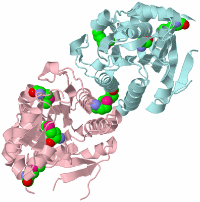 Image Biological Unit 2