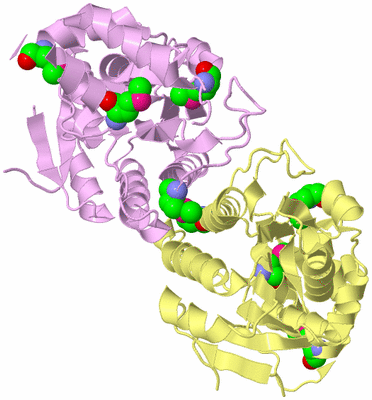 Image Biological Unit 3