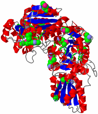 Image Asym. Unit - sites