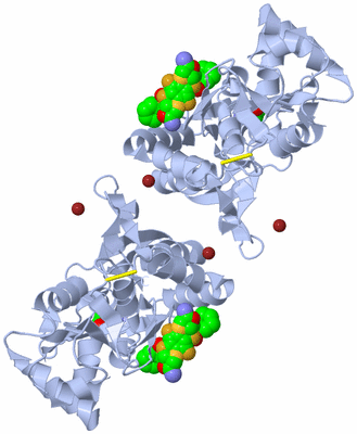 Image Biological Unit 1