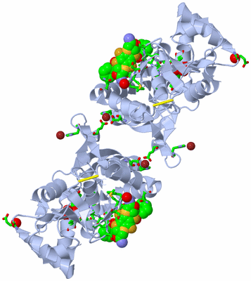 Image Biol. Unit 1 - sites