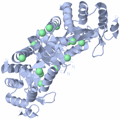 Image Biological Unit 1