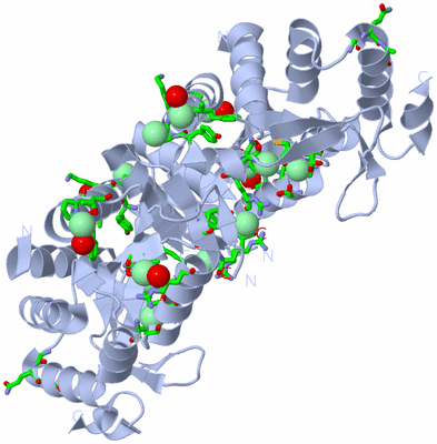 Image Biol. Unit 1 - sites