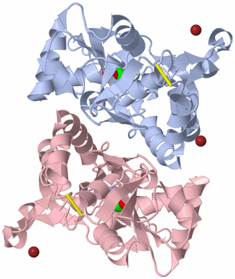 Image Biological Unit 1