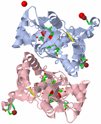 Image Biol. Unit 1 - sites