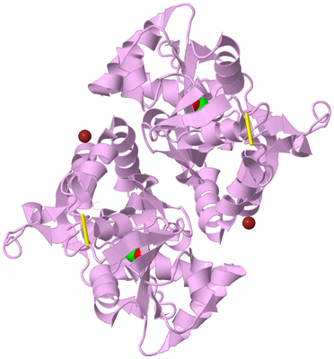 Image Biological Unit 2