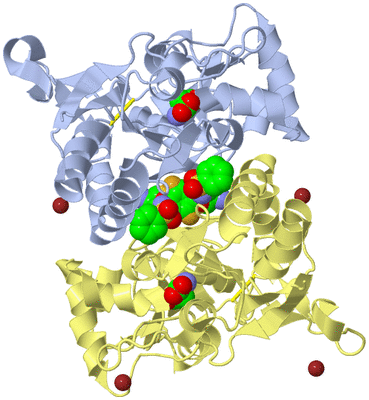 Image Biological Unit 1