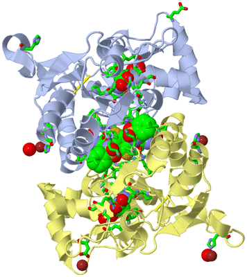 Image Biol. Unit 1 - sites