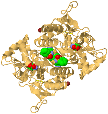 Image Biological Unit 2