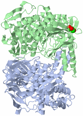 Image Asym./Biol. Unit