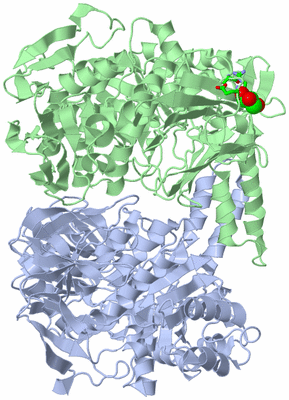 Image Asym./Biol. Unit - sites