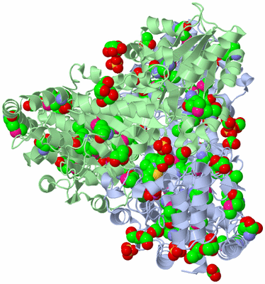 Image Asym./Biol. Unit