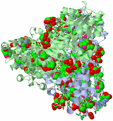 Image Asym./Biol. Unit - sites