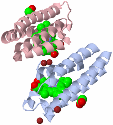 Image Biological Unit 1