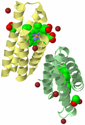 Image Biological Unit 2