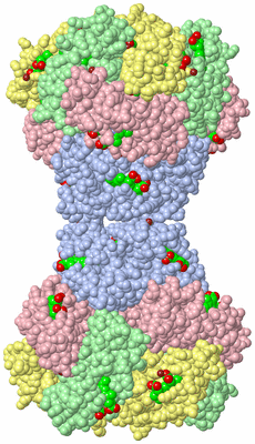 Image Biological Unit 3