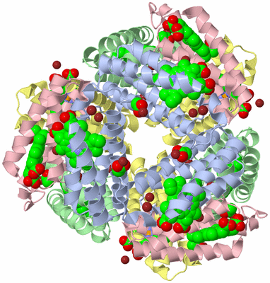 Image Biological Unit 4