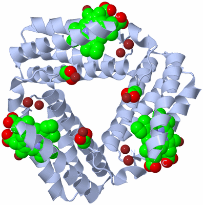 Image Biological Unit 5