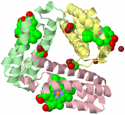 Image Biological Unit 6