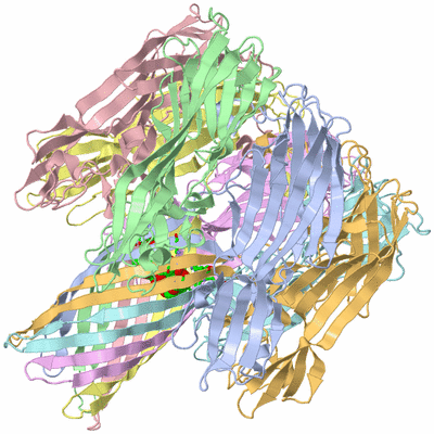 Image Asym./Biol. Unit - sites