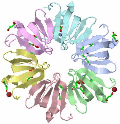 Image Biol. Unit 1 - sites