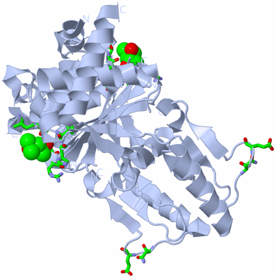 Image Biol. Unit 1 - sites