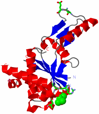 Image Asym. Unit - sites