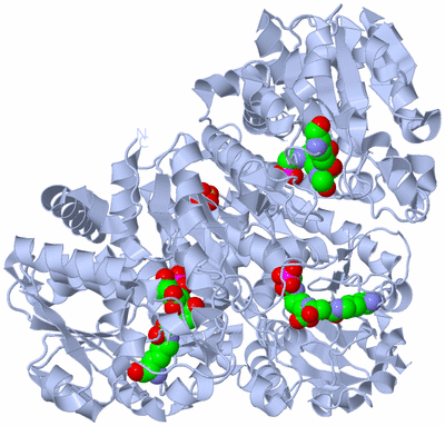 Image Biological Unit 1