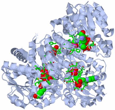 Image Biol. Unit 1 - sites