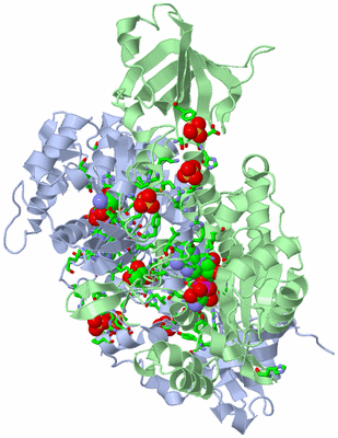 Image Biol. Unit 1 - sites