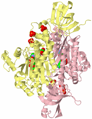 Image Biological Unit 2