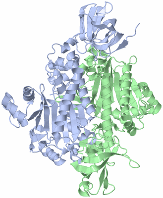 Image Asym./Biol. Unit