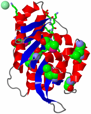 Image Asym./Biol. Unit - sites