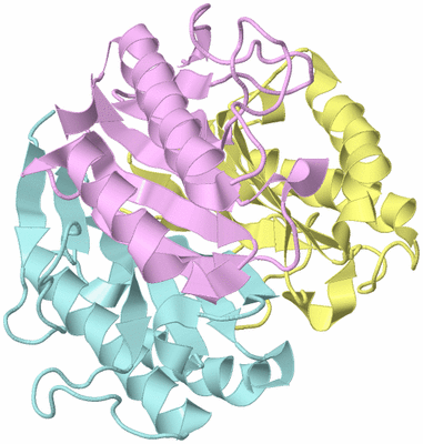 Image Biological Unit 2