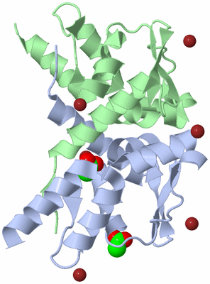 Image Biological Unit 1