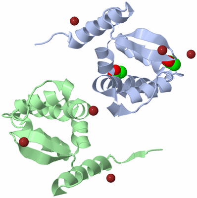 Image Biological Unit 2