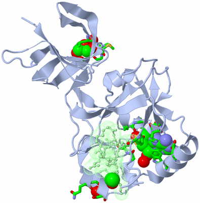 Image Asym./Biol. Unit - sites